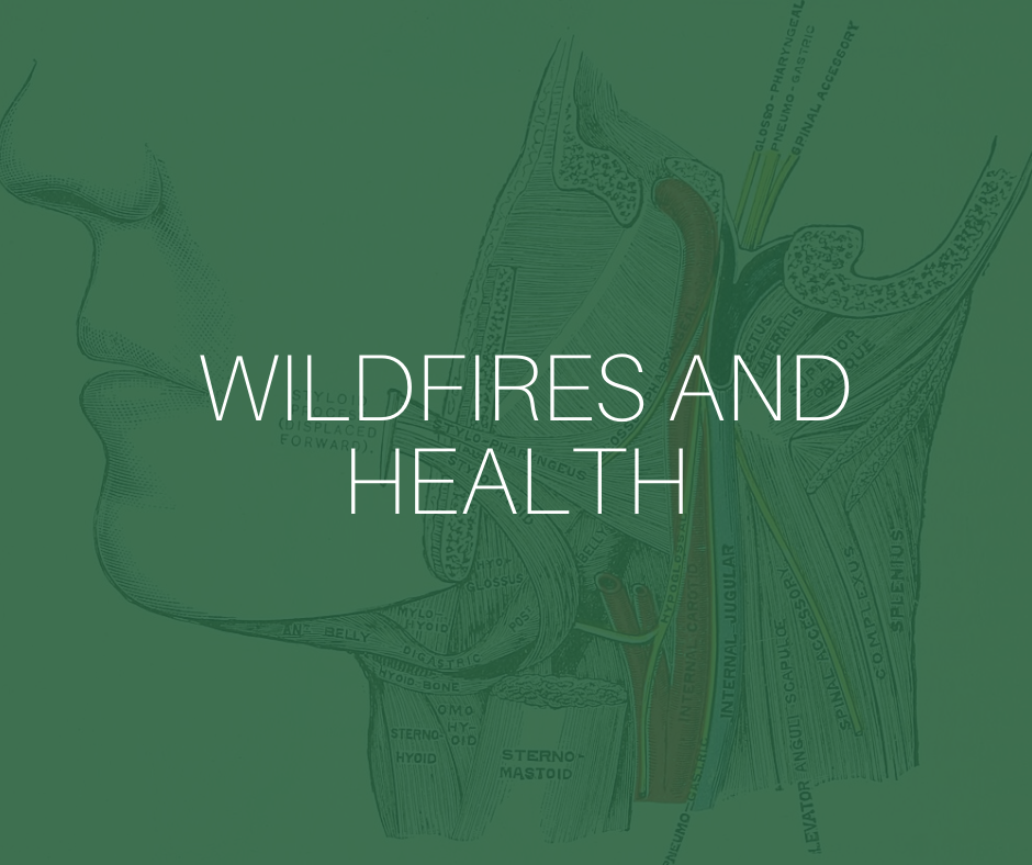 Wildfires and health