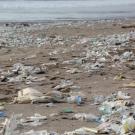 Beach littered with plastic