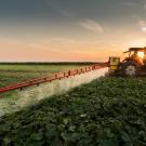 Pesticides application in the Central Valley