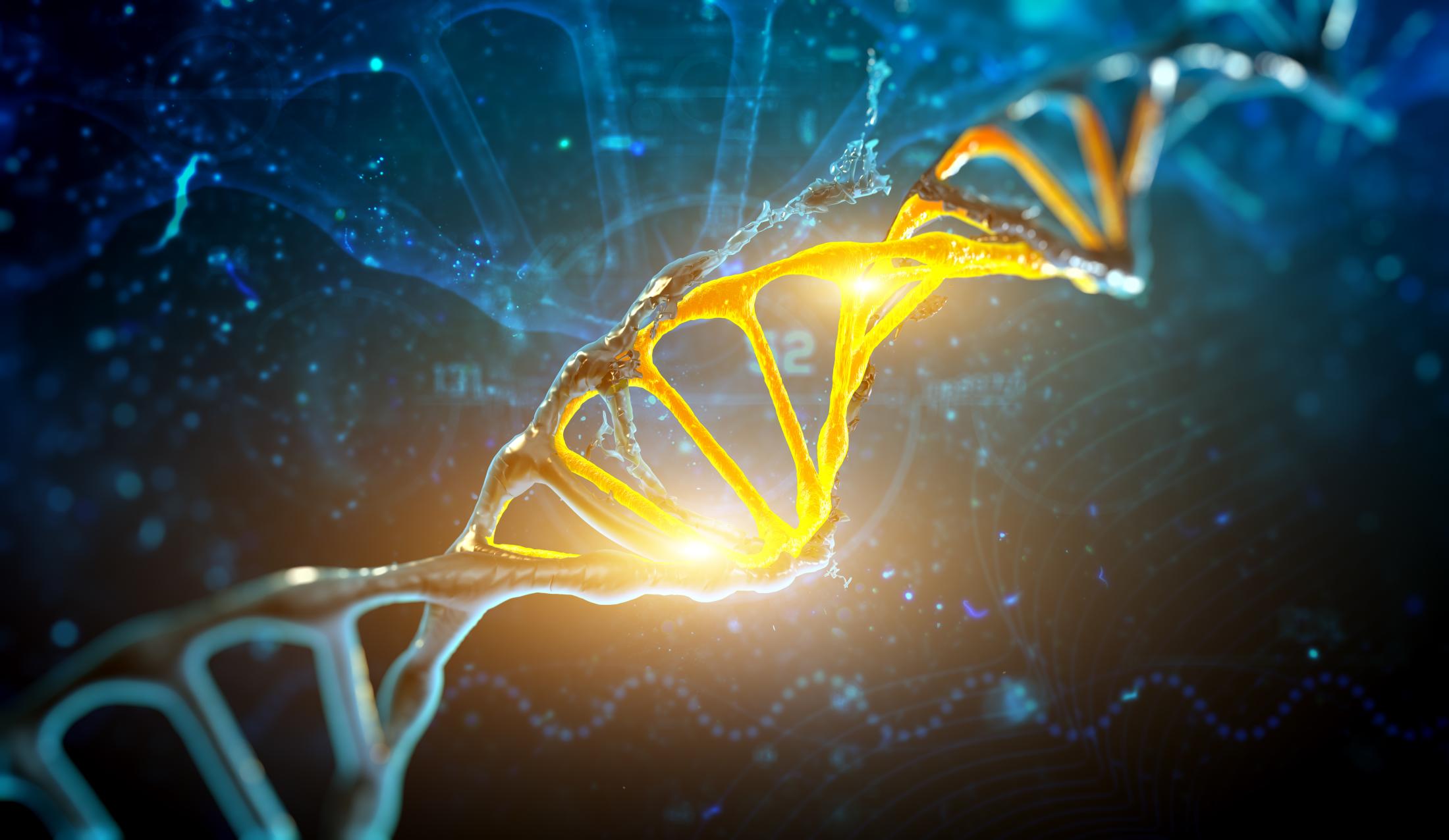 DNA