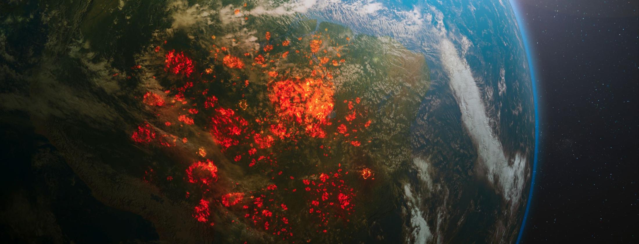 Amazon on fire