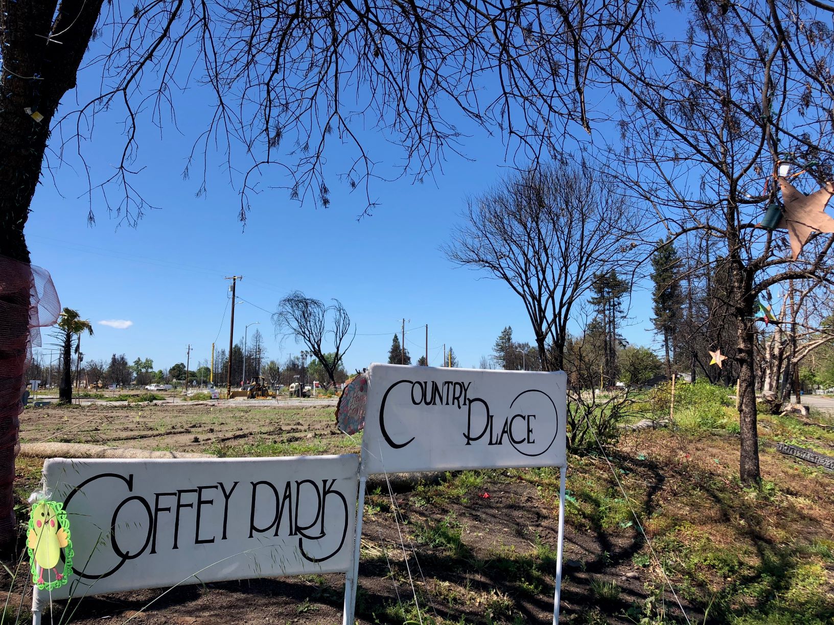 Coffey Park after the 2017 Tubbs Fire