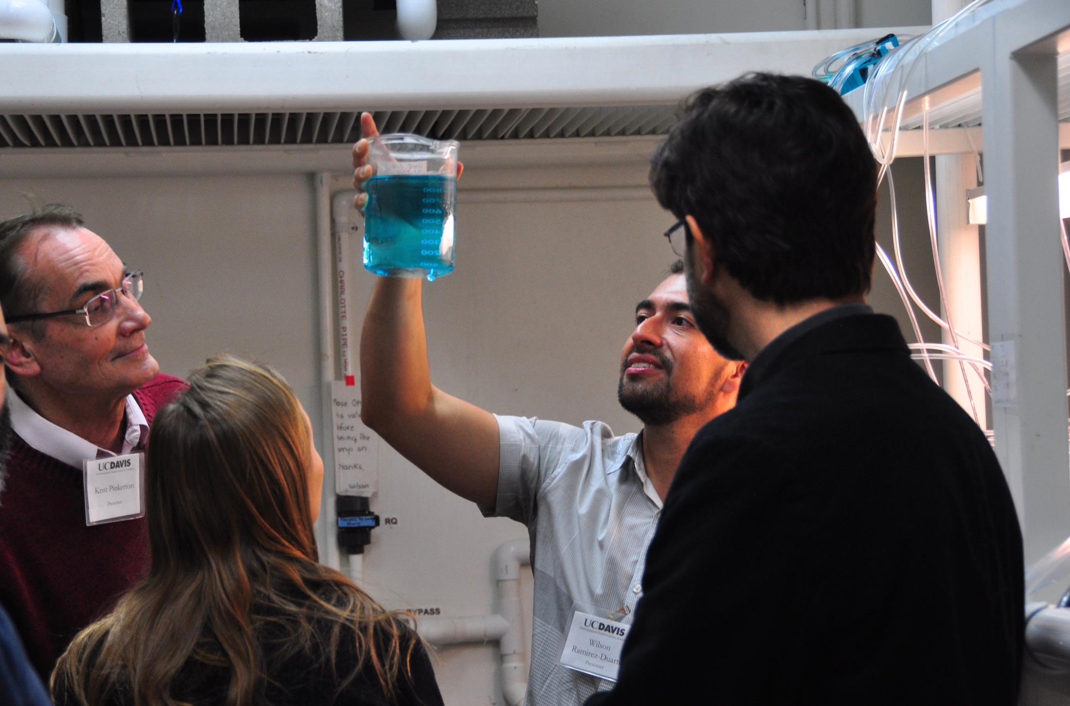 Scientists looking at zebrafish in jar