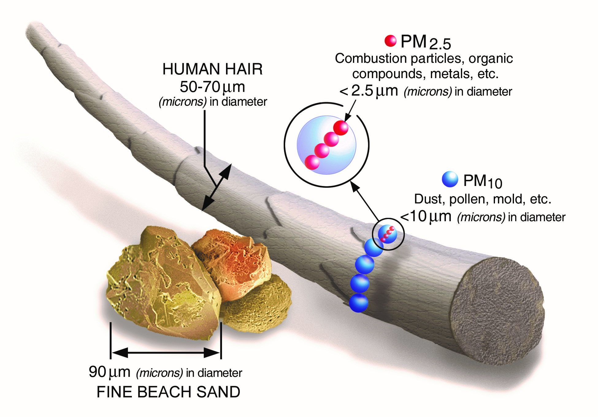 Particulate matter