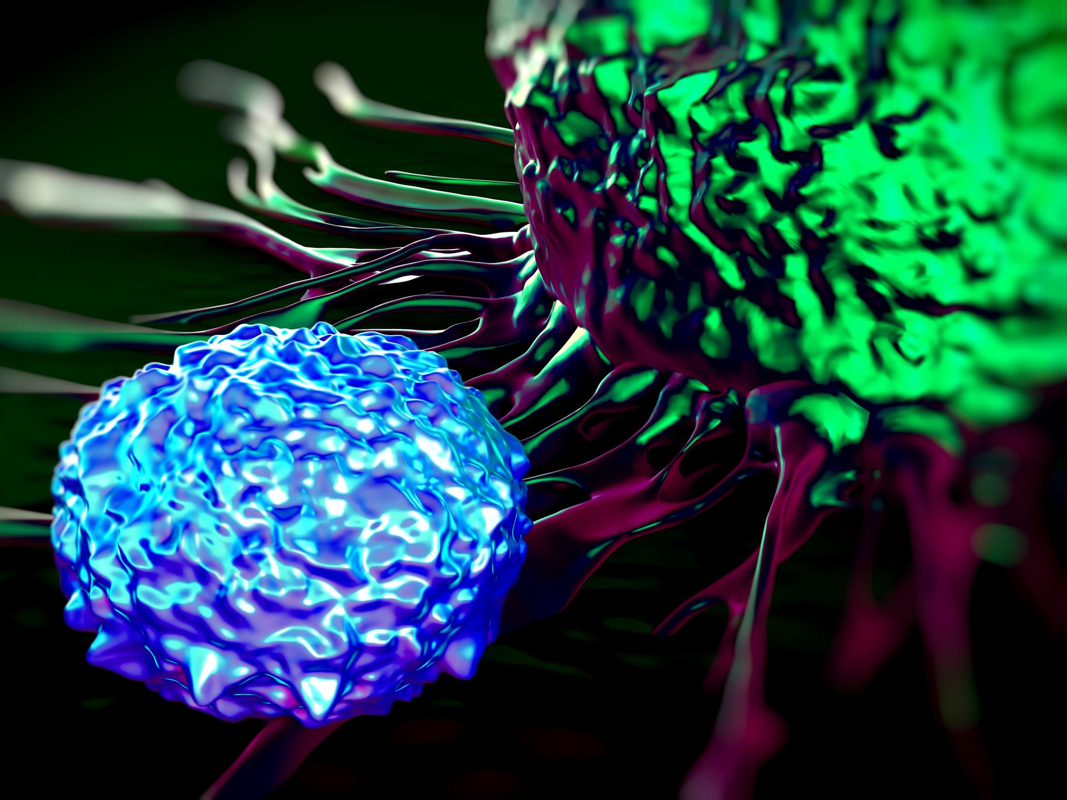 T-cell attacking a cancer cell