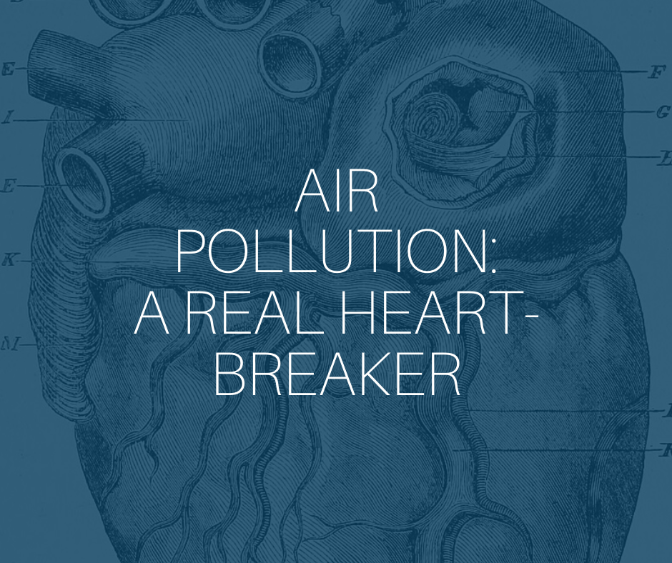 Air pollution article