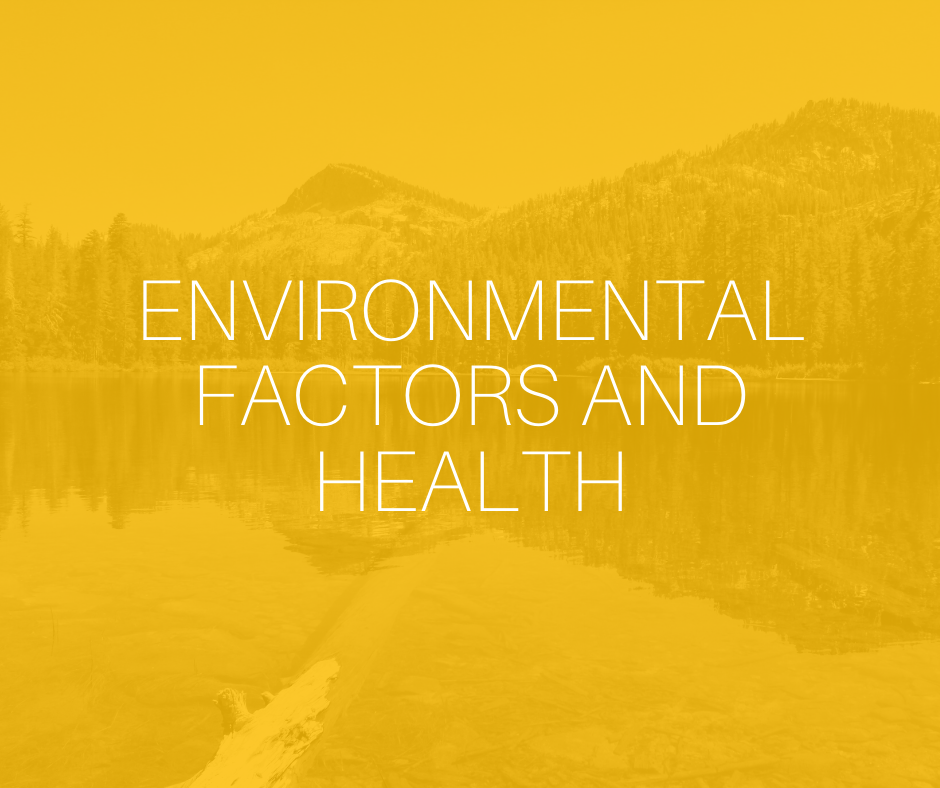 Environmental factors and healthmental Health Sciences Scholar