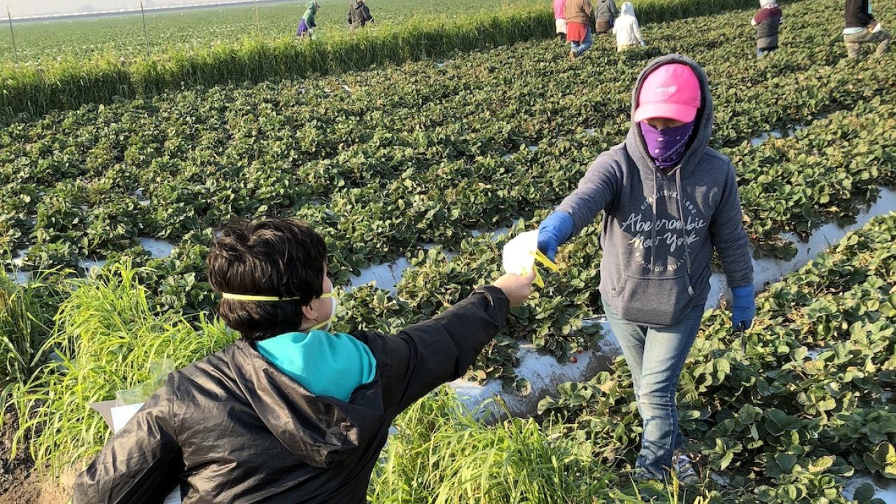 Farmworker given mask - photo credit CAUSE