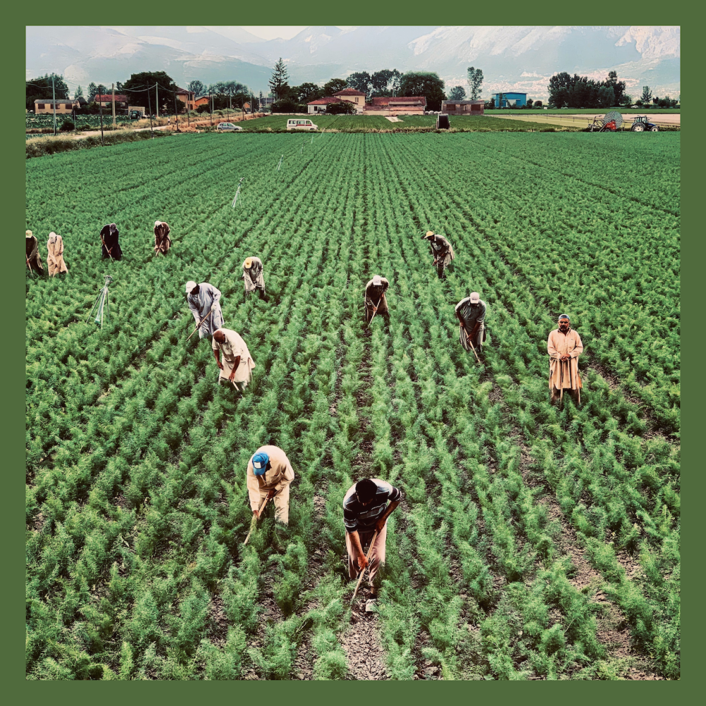 Agricultural workers