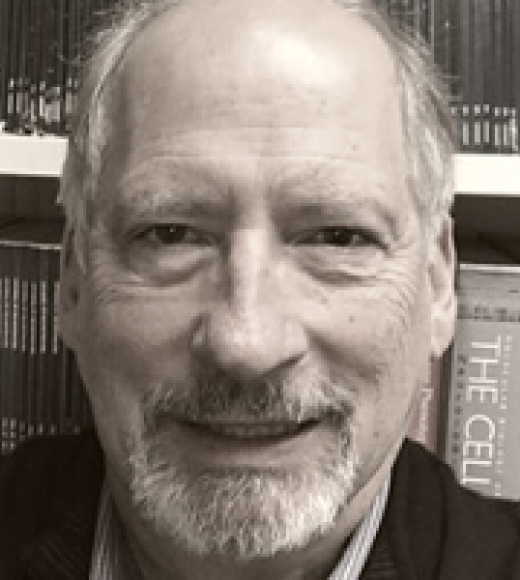Robert Berman