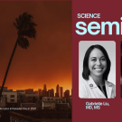 Seminar poster: orange smoke and LA skyline with leaning palm and headshots of seminar speakers Dr. Liu and Dr. Spada