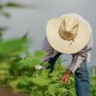 Farmworkers