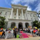 Domestic Worker protest (Dignidad)