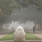 UC Davis campus on a foggy day with Egghead sculpture in  foreground.