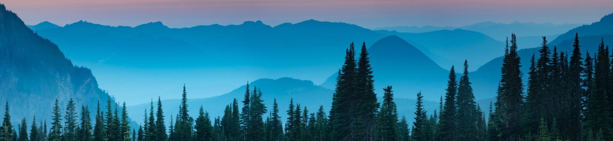 Mountain Range