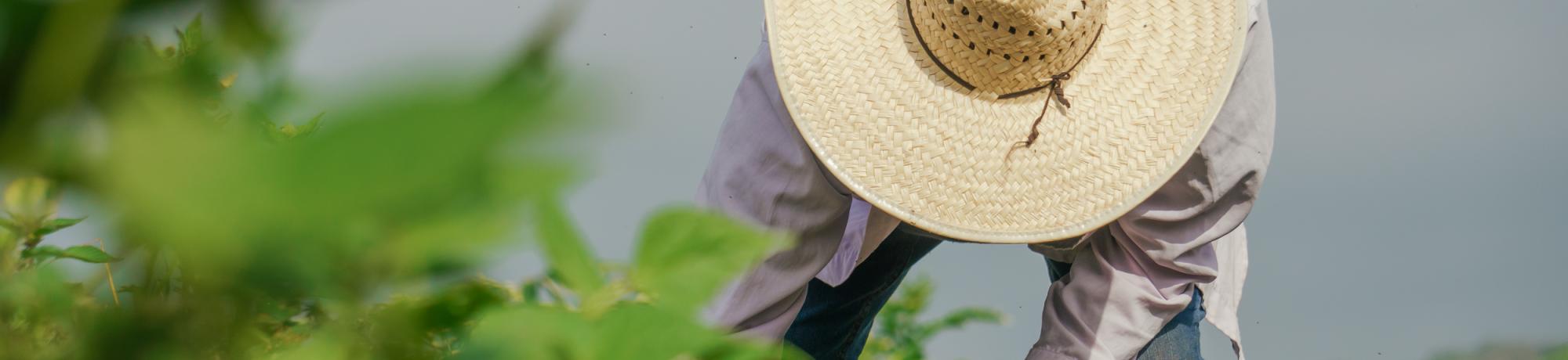 Farmworkers